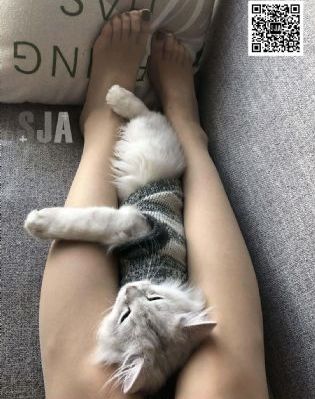 黄色日本动漫_720免费播放
